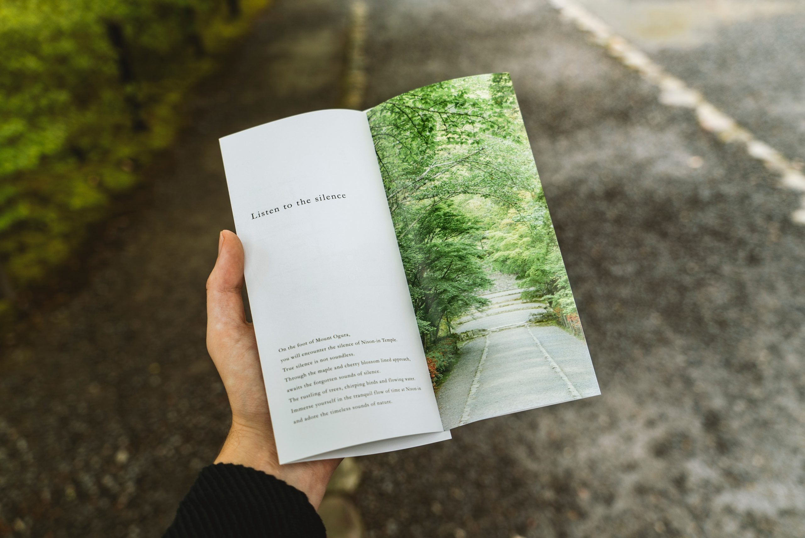 david-emrich-uH03NpIt-JQ-unsplash