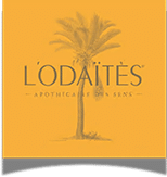 logo3