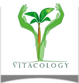 logo4